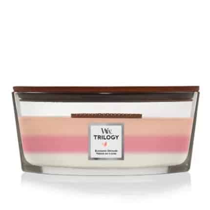 WoodWick Trilogy Blooming Orchard Ellipse Candle